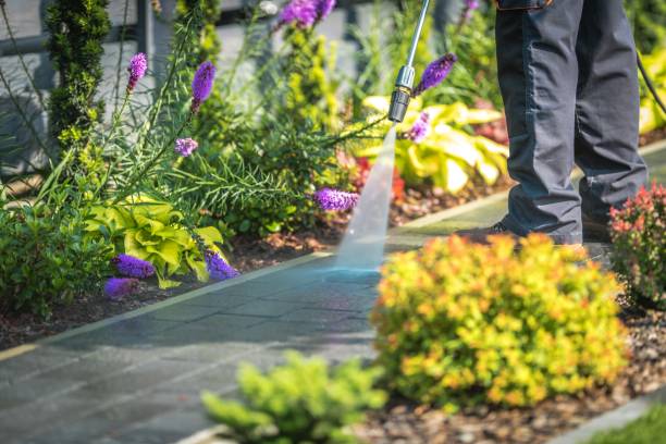 Trusted Queen Anne, MD Pressure Washing Services Experts